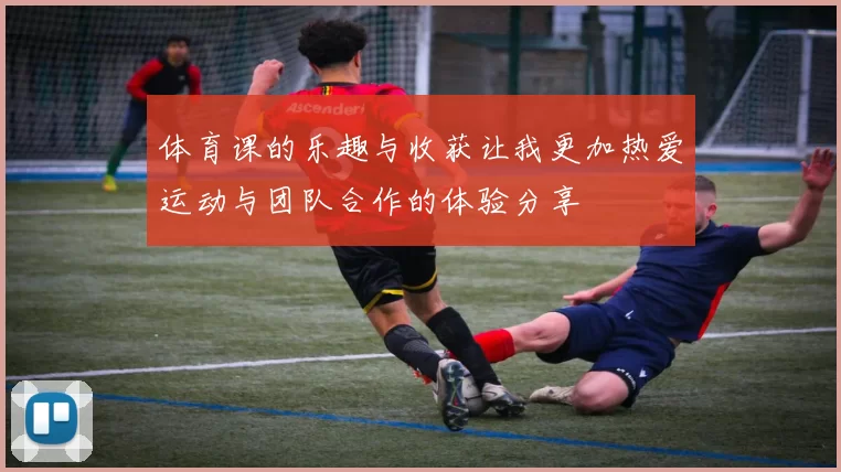 体育课的乐趣与收获让我更加热爱运动与团队合作的体验分享