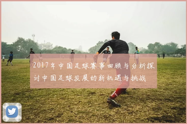 2017年中国足球赛事回顾与分析探讨中国足球发展的新机遇与挑战