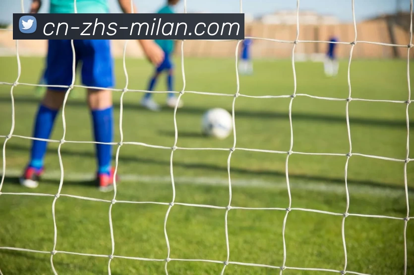 米兰体育官网发展历程